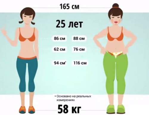 соотношение жира и мышц в разном возрасте